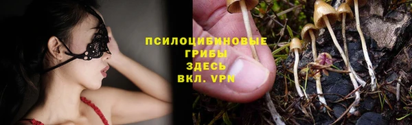 PSILOCYBIN Нефтегорск