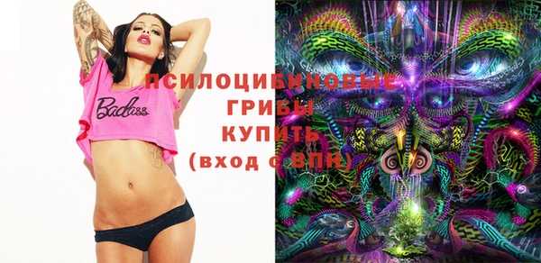 PSILOCYBIN Нефтегорск