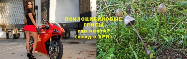 Альфа ПВП Нея