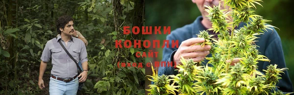 PSILOCYBIN Нефтегорск