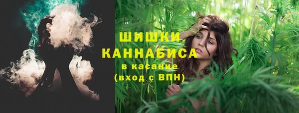 PSILOCYBIN Нефтегорск