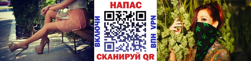 Бошки Шишки ГИДРОПОН  Купить закладки  Ачхой-Мартан 